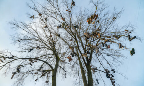 Laisvamaniai, Arturas Jendovickis, riedlentės, fotografijų projektas, riedlentes, lietuva, fotografija, menas, batu medis, skate shoe tree,